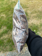 Load image into Gallery viewer, Kiwi Bark 3 qt