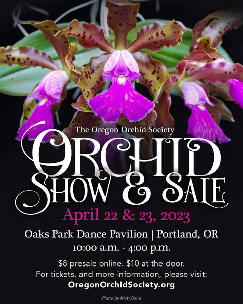 Oregon Orchid Society Show