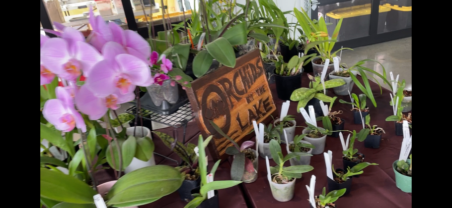 Farmer’s Market at Lake Stevens!