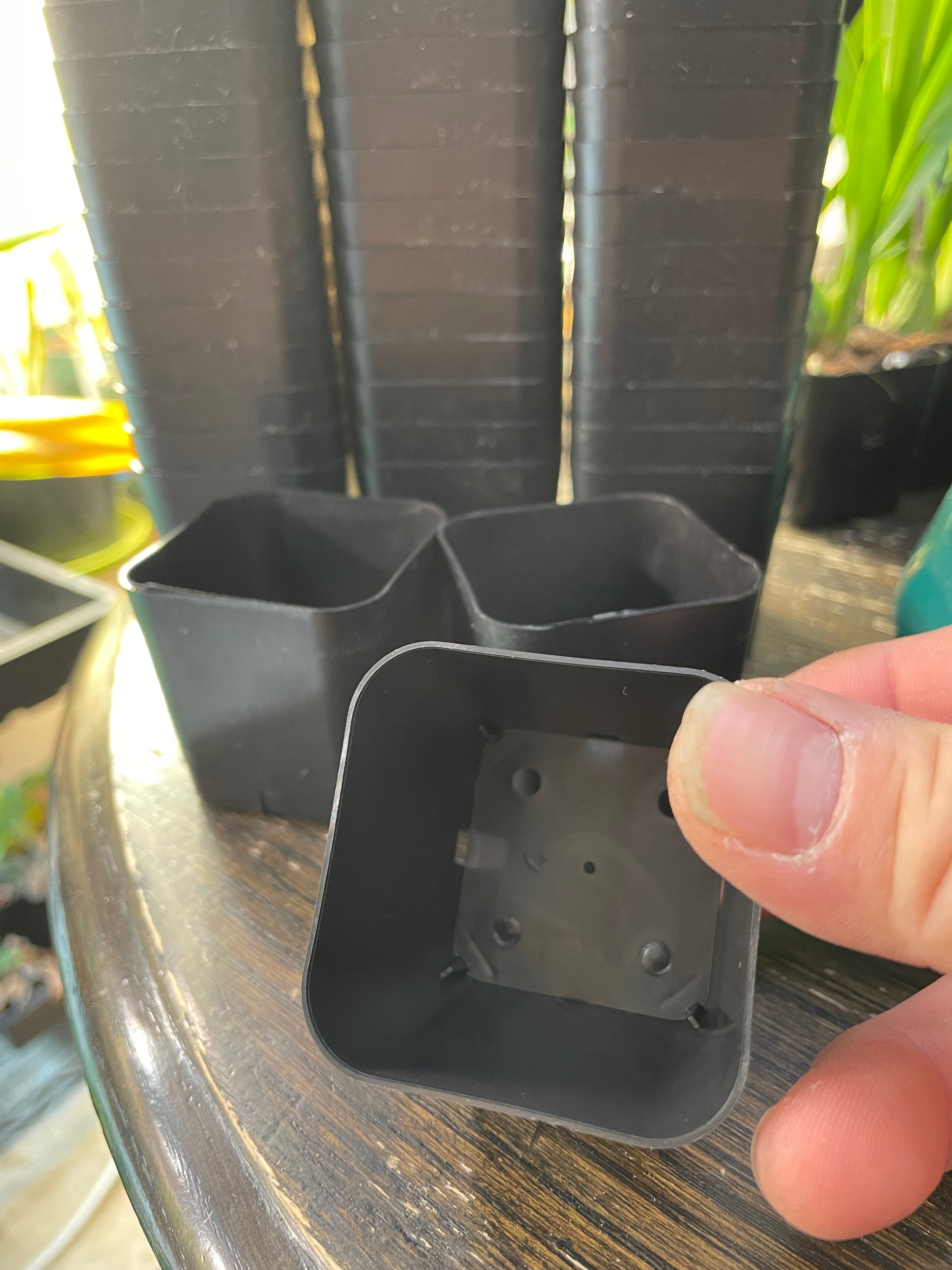 2 inch plant pots 2' x 2' x 2 1/8' pots – Orchids by the Lake