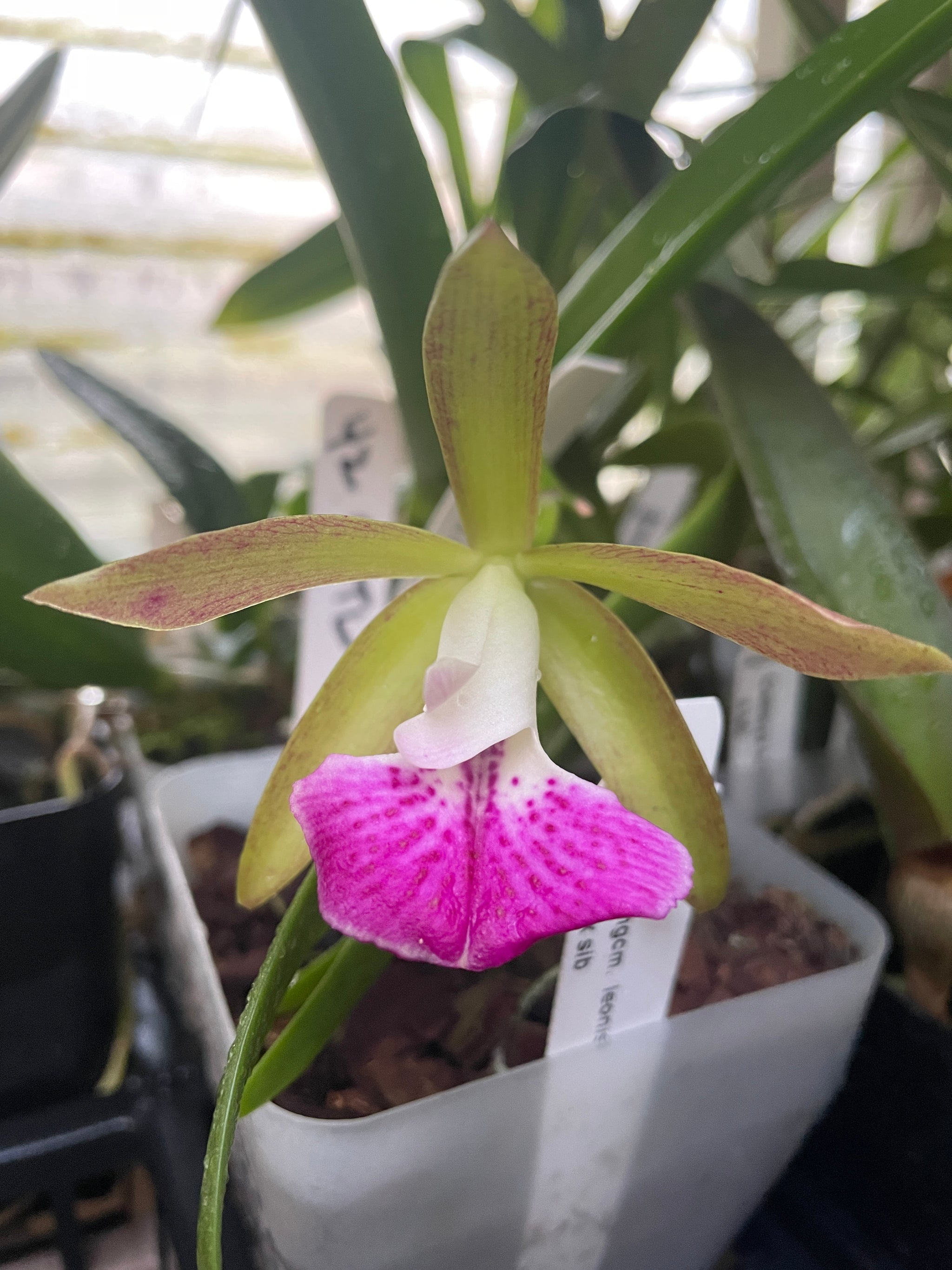 image_d05e39a2-feeb-4773-9d88-